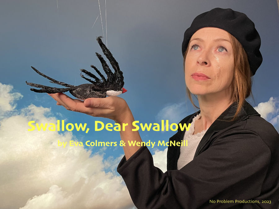 Swallow, Dear Swallow